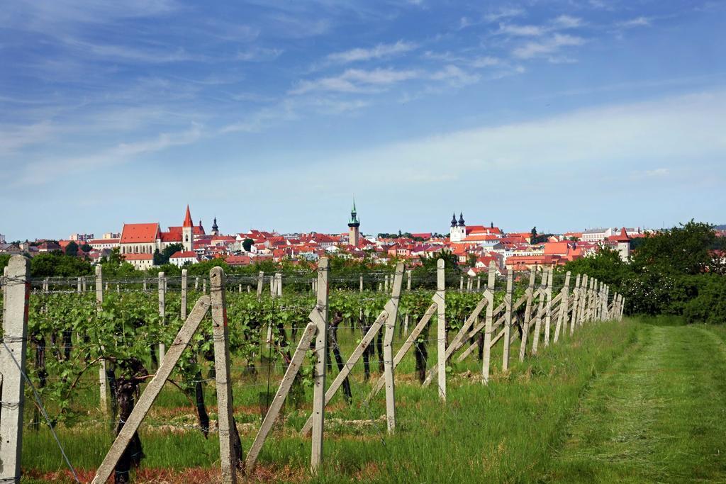 Vas Sklep - Vinny Sklep A Penzion Znojmo Kültér fotó
